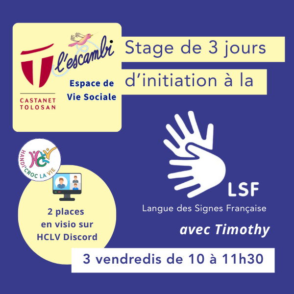 Formation Initiation LSF (2° séance)